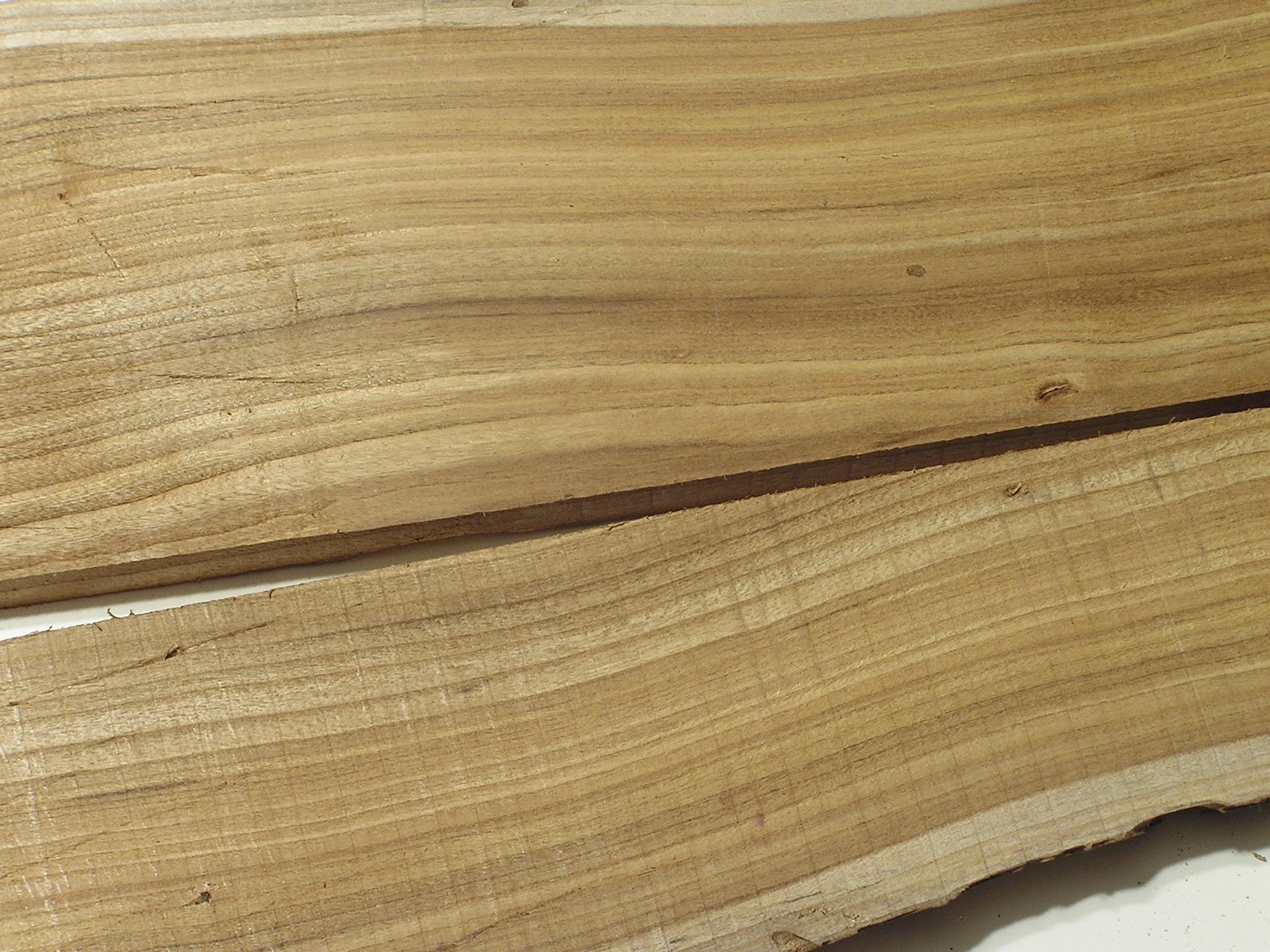 Discovering Wood Redbud 2