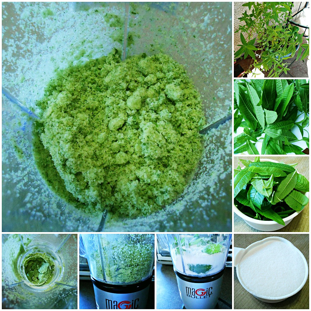 Lemon Verbena Crinkle Cookies