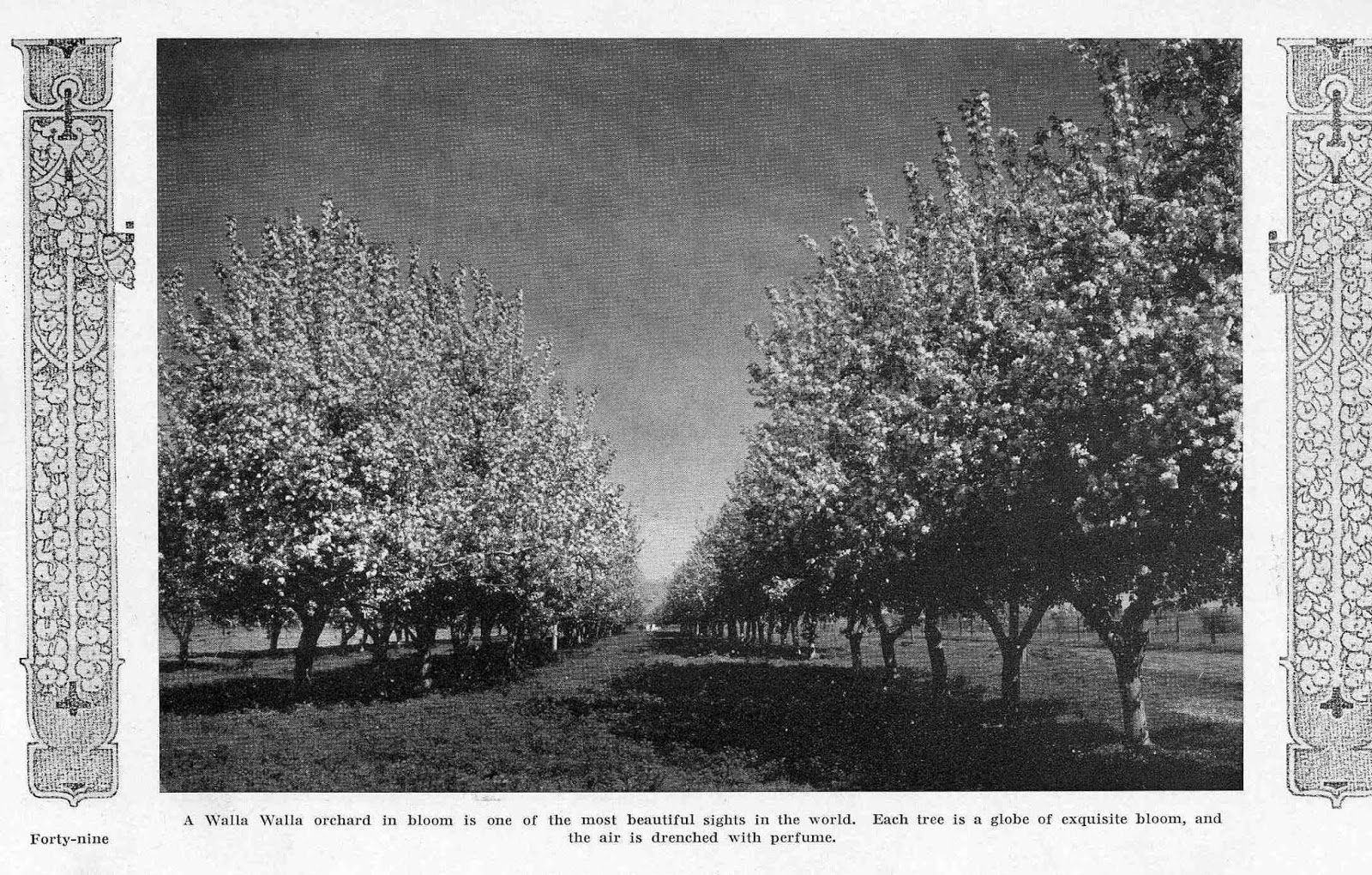 Bygone Walla Walla vintage images of the City and County (and beyond