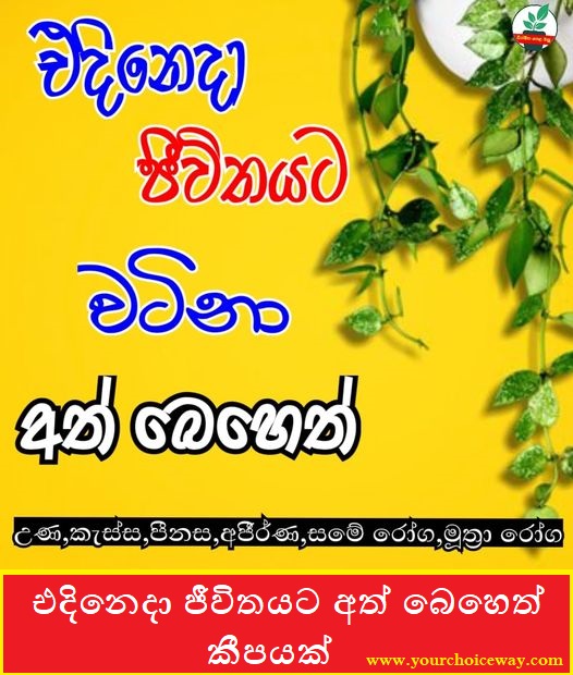 එදිනෙදා ජීවිතයට අත් බෙහෙත් කීපයක් ( Ath Beheth) - Your Choice Way