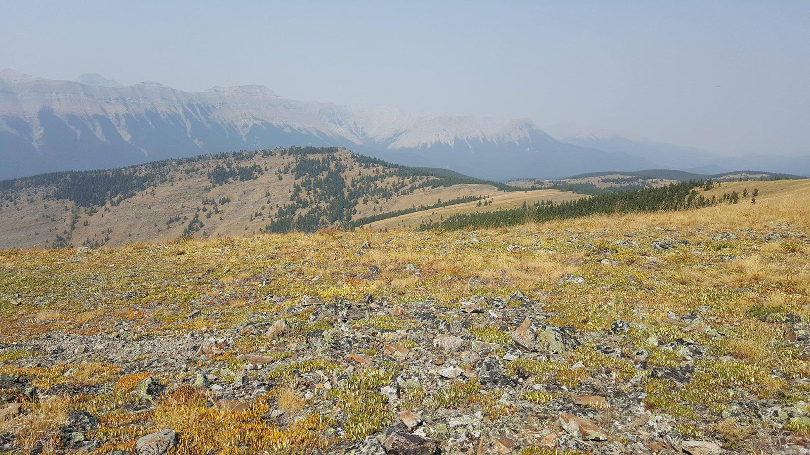 Powderface Ridge (West Trailhead), Elbow Valley Play Outside Guide