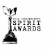 Palmarès Independent Spirit Awards 2014