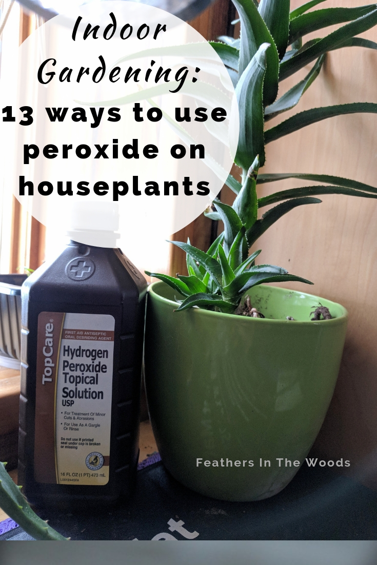 13 uses for peroxide in the garden (and on houseplants!) Feathers in