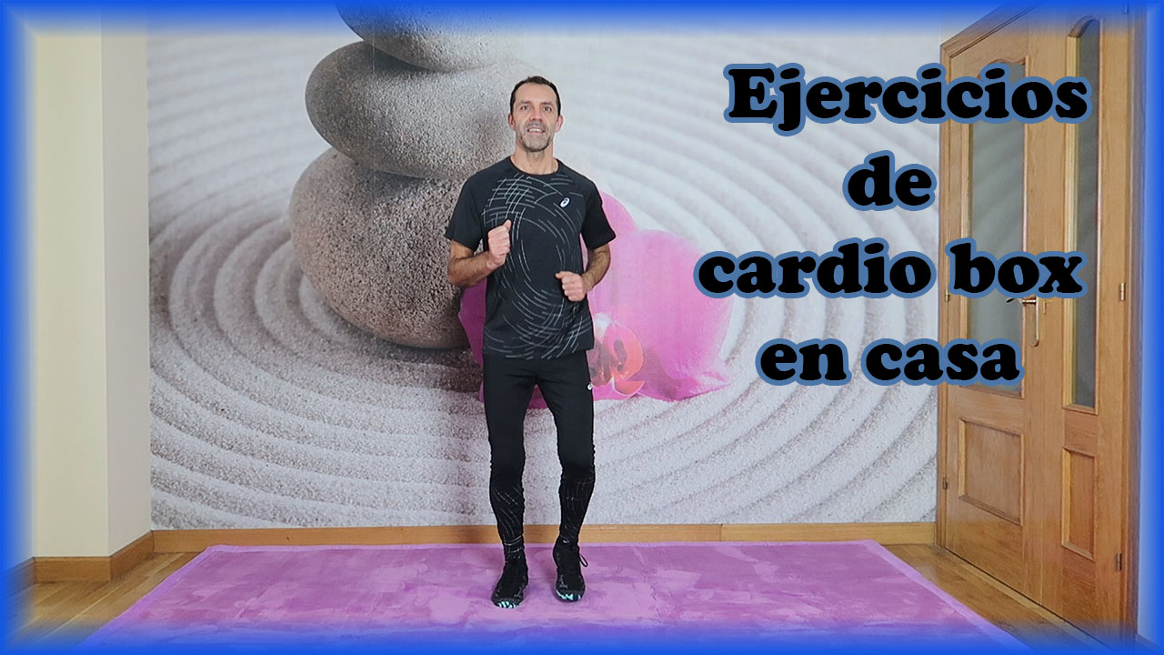 Equilibra cuerpo y mente Ejercicios de cardio box en casa para bajar