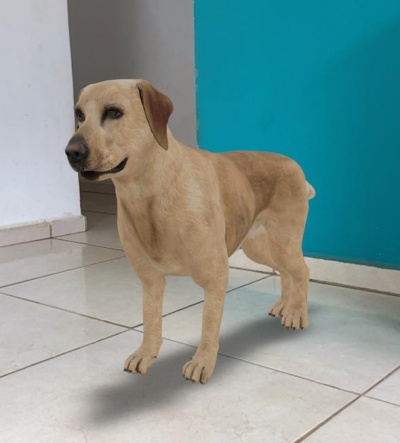 Saiba como ver diversos animais em 3D no Google pelo celular