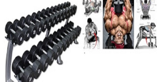 4 Day Upper Lower Dumbbell Workout Plan For Best Results 4 Day Upper Lower Dumbbell Workout Plan For Best Results