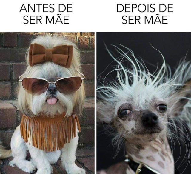 Memes engraçados Memes engraçados