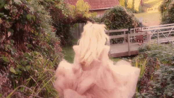 38.gif