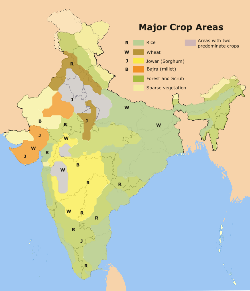 Agriculture Sector status, role, problems and step taken by Indian