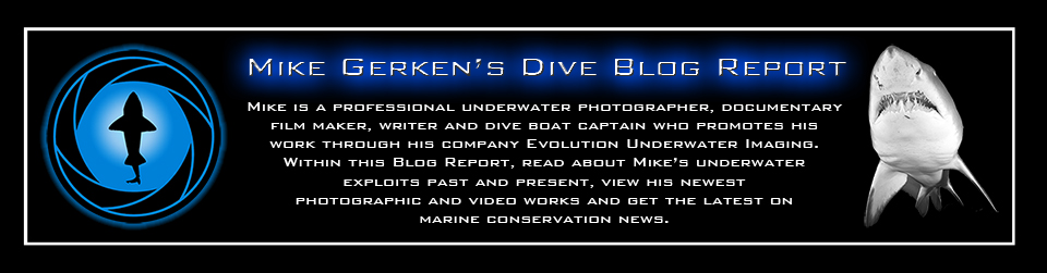 Mike Gerken's Dive Blog Report