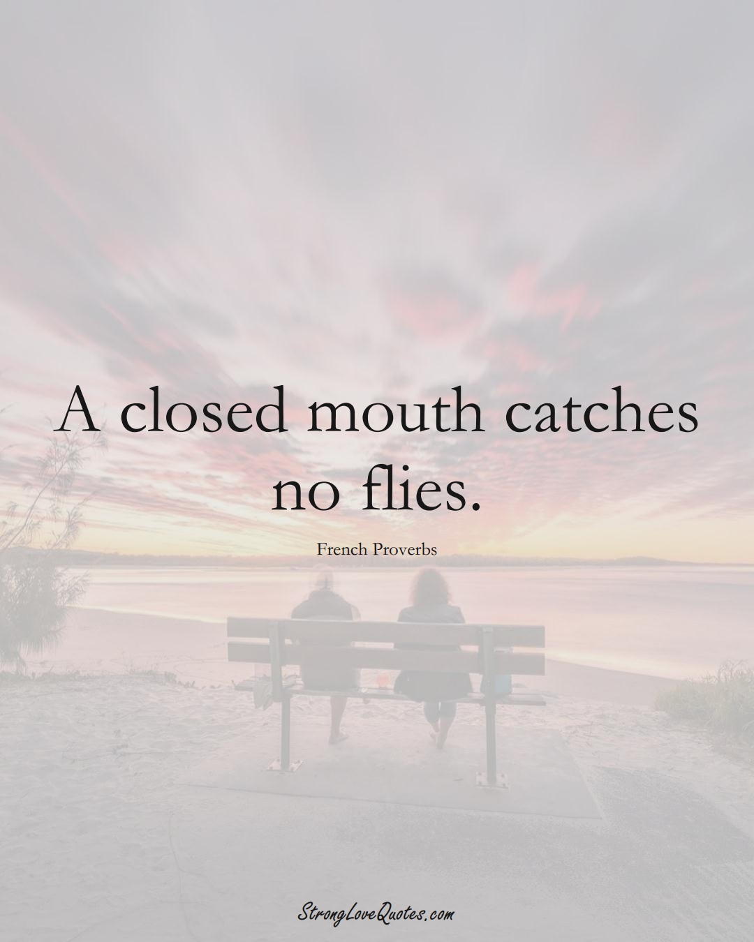 A closed mouth catches no flies. (French Sayings);  #EuropeanSayings