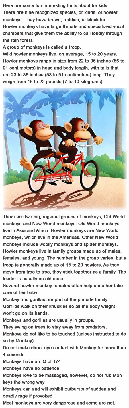 Fun facts about monkeys for kids