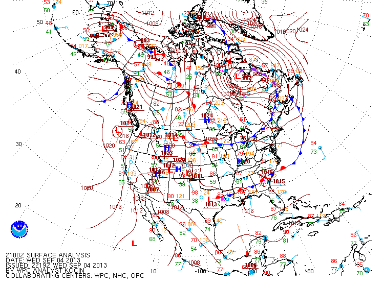 Birding with Buckley Weather Lookout for NL