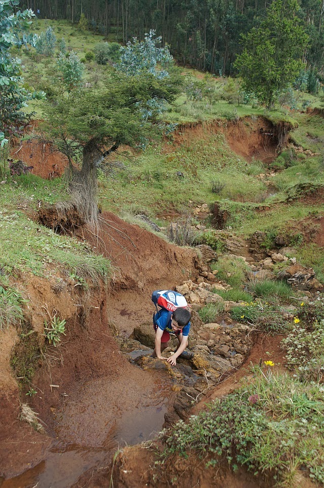 The Farrell Family in Africa: Mount Entoto National Park