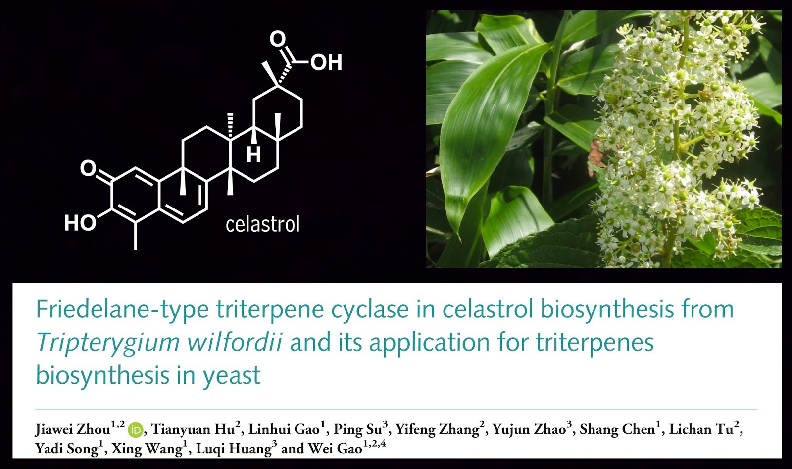 plants-are-chemists-august-phytochemicals-bioactive-compounds-from