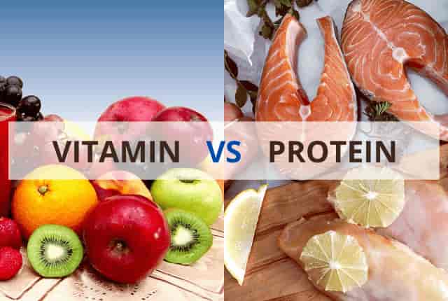 Understand The Difference Between Vital Nutrients of Vitamin vs Protein