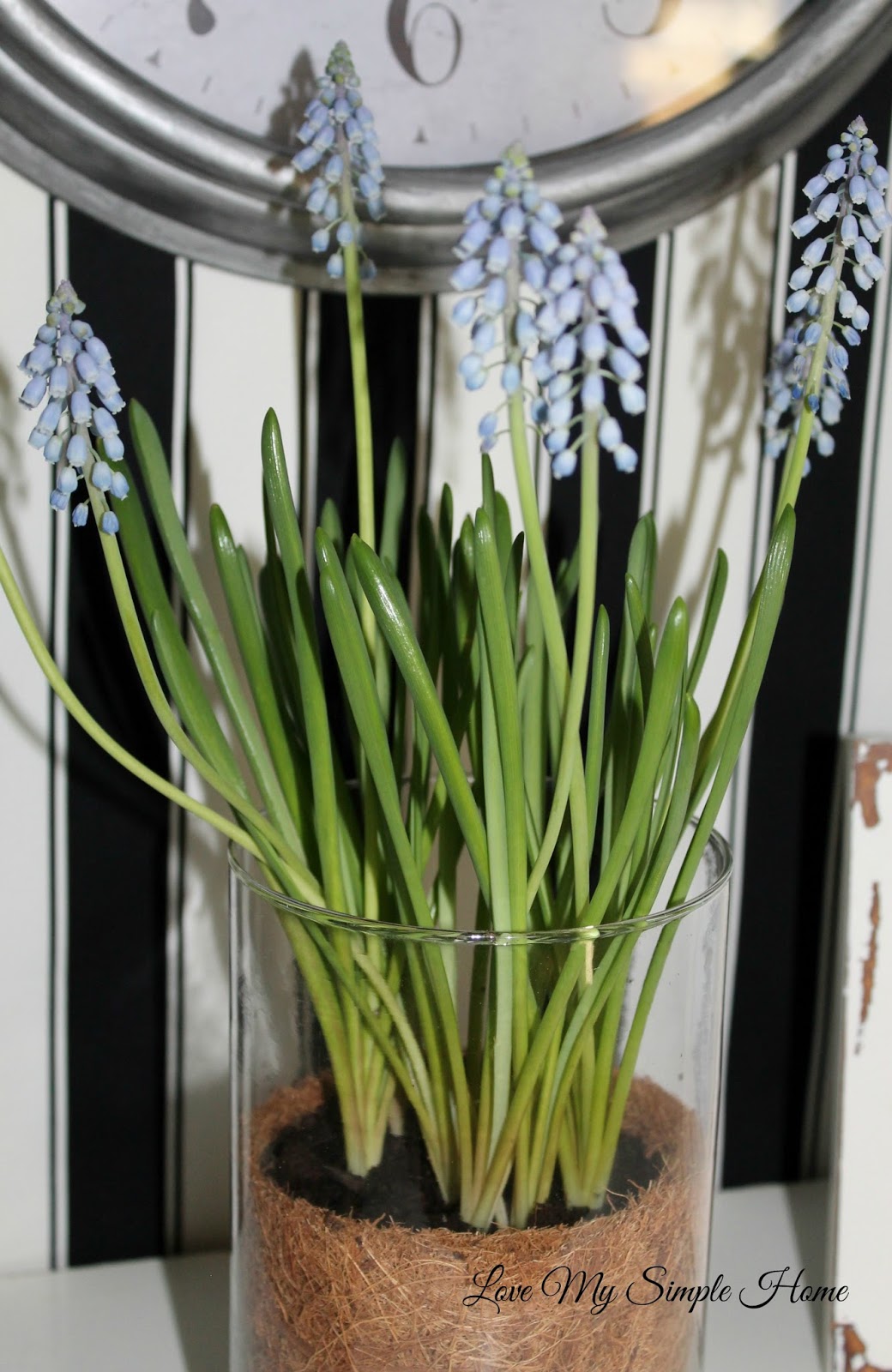 Decorate Walls With Fabric Love My Simple Home