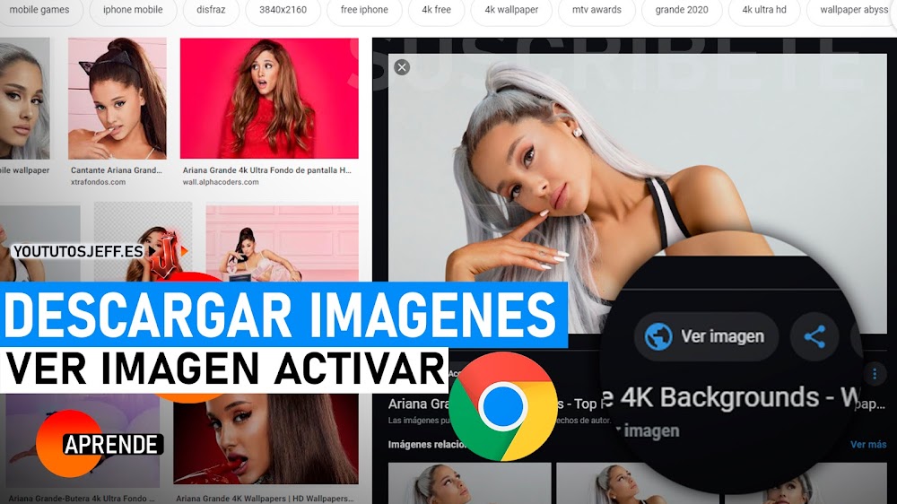 Descargar Imágenes de Google | Activar Botón Ver Imagen
