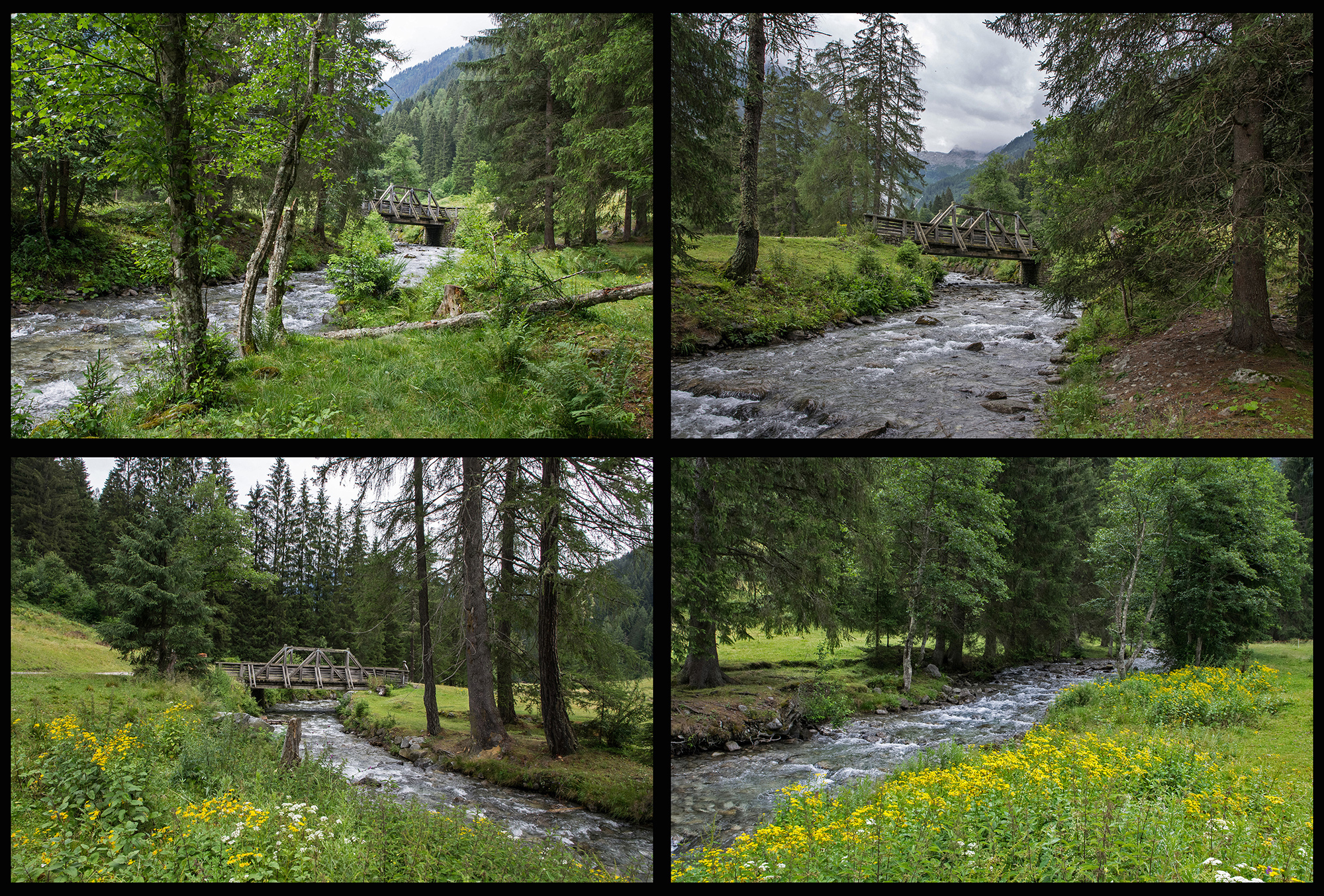 4 passi in Val di Sole Le... “chiare, fresche et dolci acque...”del Rio Valpiana e del Sas 4 passi in Val di Sole Le... “chiare, fresche et dolci acque...”del Rio Valpiana e del Sas