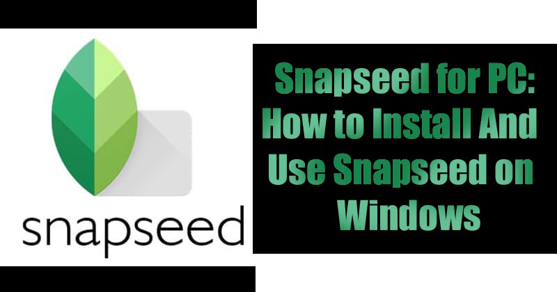 snapseed online snapseed online