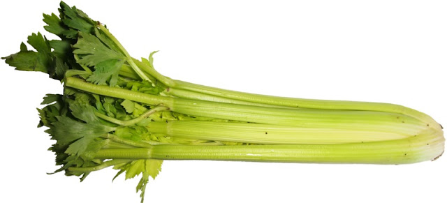 Cultivation of Celery in India ; A full Information Guide Cultivation of Celery in India ; A full Information Guide