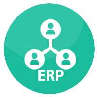 ERP development company 