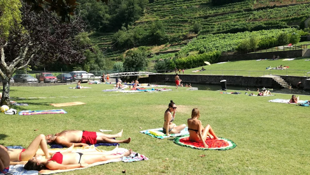 Muita gente ao sol no relvado Muita gente ao sol no relvado