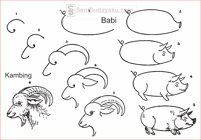 15 Cara Menggambar Hewan Yang Mudah Seni Budayaku