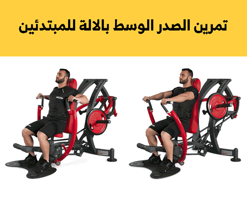 تمارين الصدر للمبتدئين