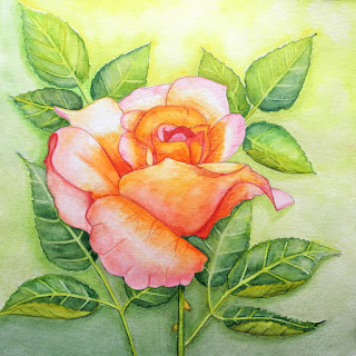 Rose Aquarell