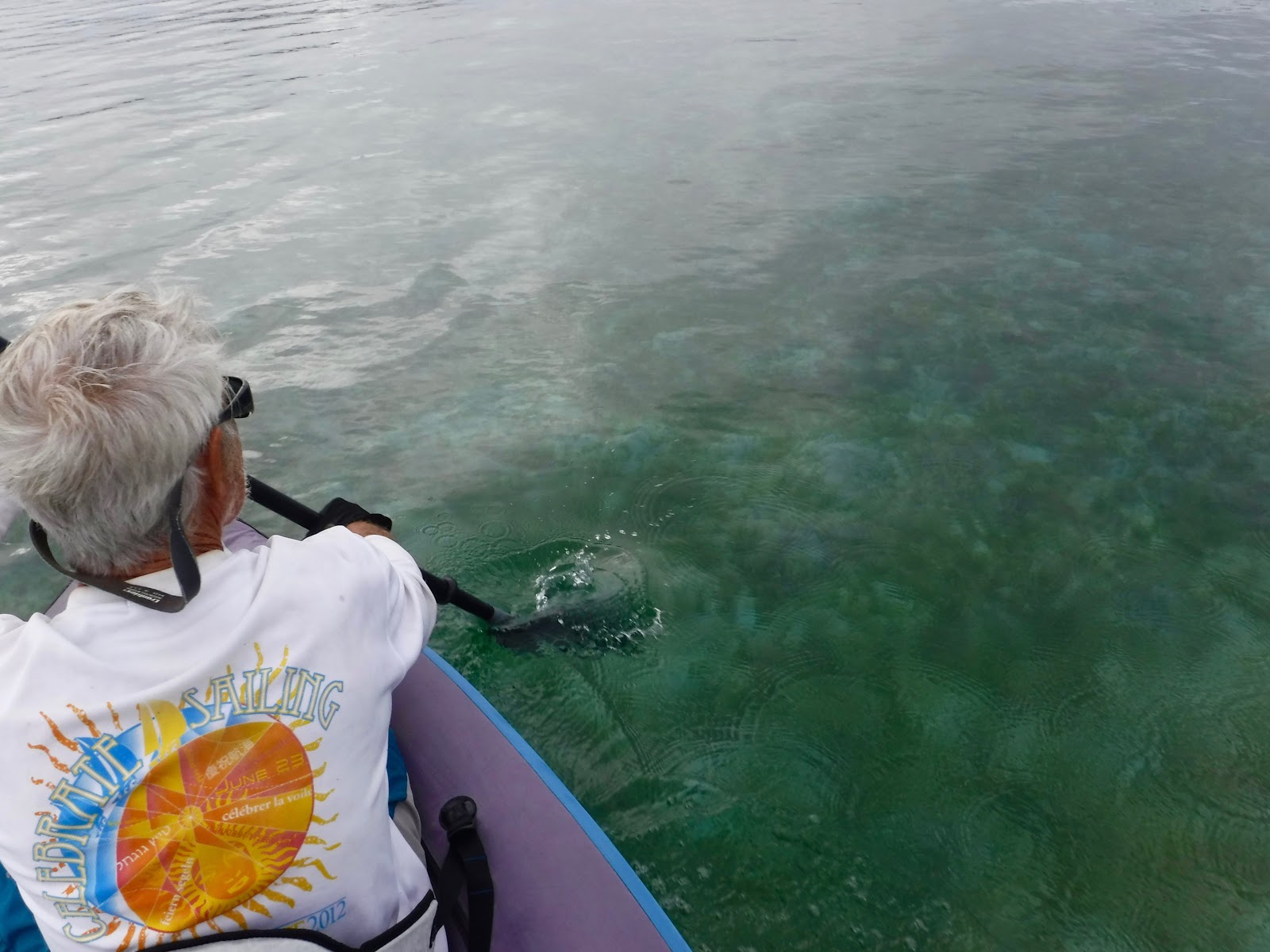 Things we did today... Expanding The Trellis Bay Experience