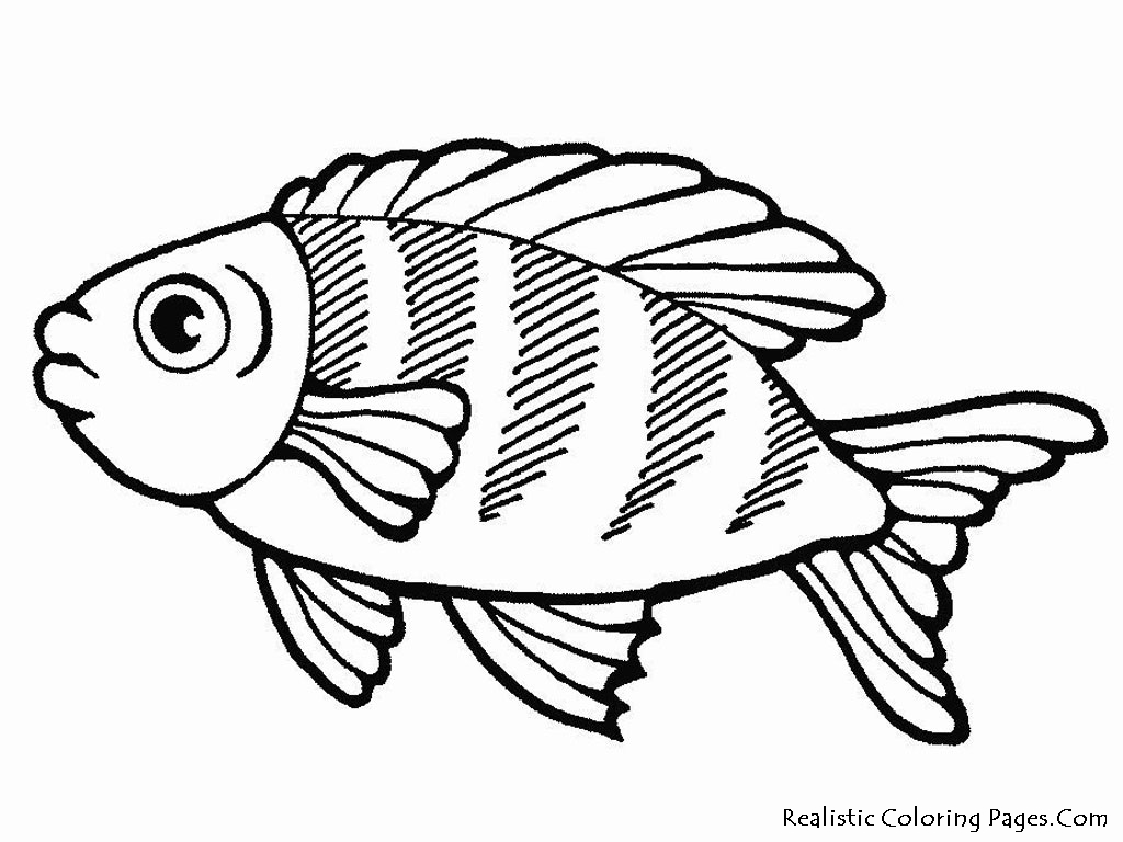ocean fish coloring pages - photo #9