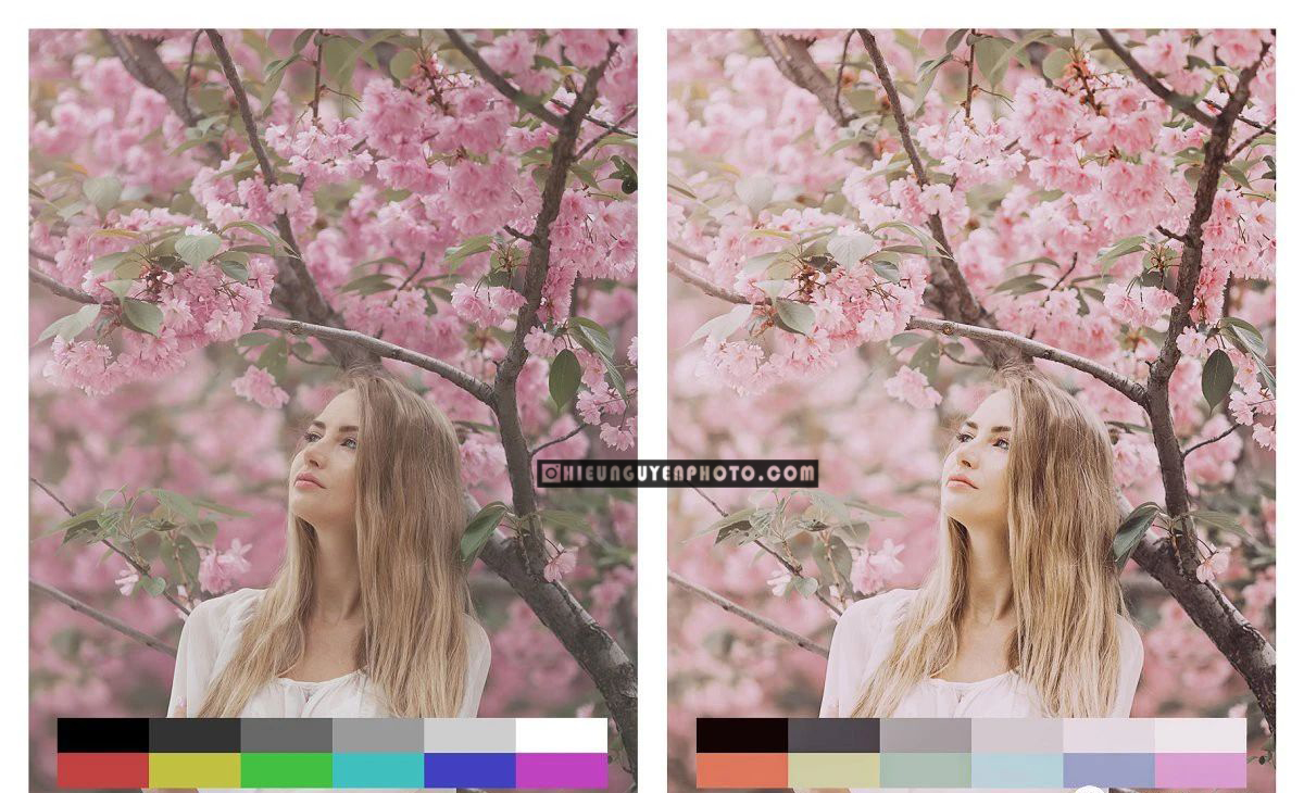 Bộ preset hoa anh đào Nhật Bản cho Lightroom (LR, DNG XMP, CUBE)