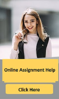online assignment help
