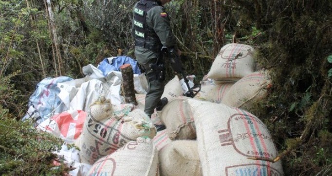 Comunidad frustró millonario robo a una finca en San Agustin, Huila - Laboyanos.com (Comunicado de prensa) (blog)