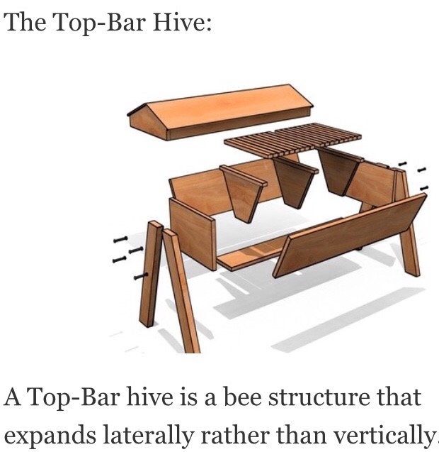 Pics and Diagrams of Bee hives