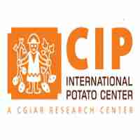 Consultant – Agri-Business Expert at International Potato Center (CIP) Tanzania February, 2020