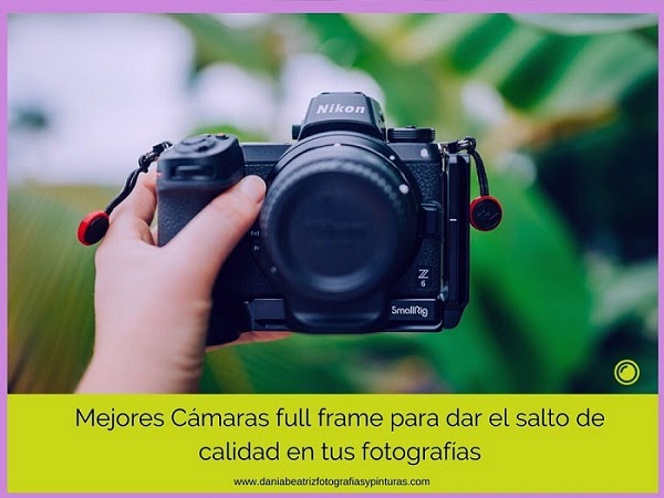 O cualquiera Me gusta cámara Mejores Cámaras full frame 2023 | Blog de Fotografía (Club f2.8 )