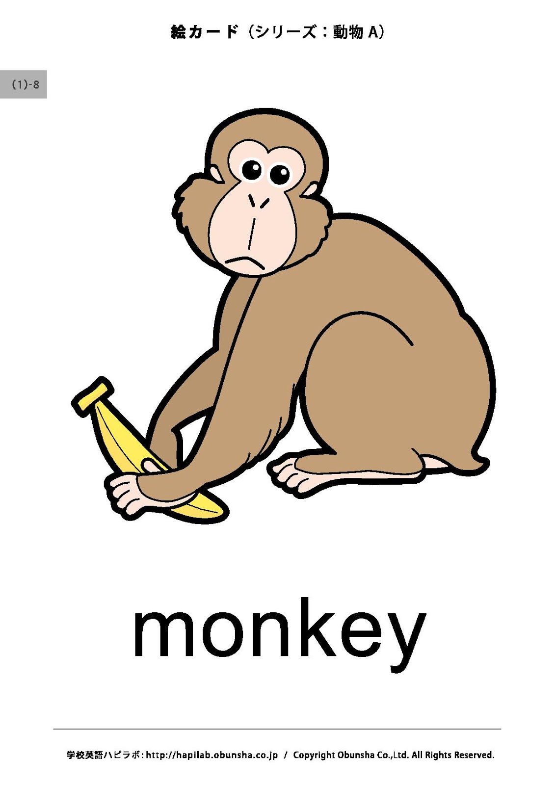 work material 11/2 Grade 1 animals flash cards