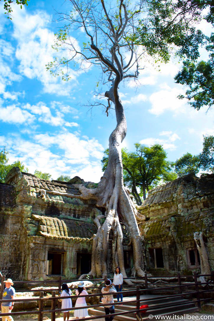Tips for exploring Ta Prohm, Cambodia's famous temple aka The "Tomb Raider" Temple. Pictures to illustrate why this is a must see temple in Siem Reap. #trip #traveltips #asia #thingstodo #adventure Tips for exploring Ta Prohm, Cambodia's famous temple aka The "Tomb Raider" Temple. Pictures to illustrate why this is a must see temple in Siem Reap.