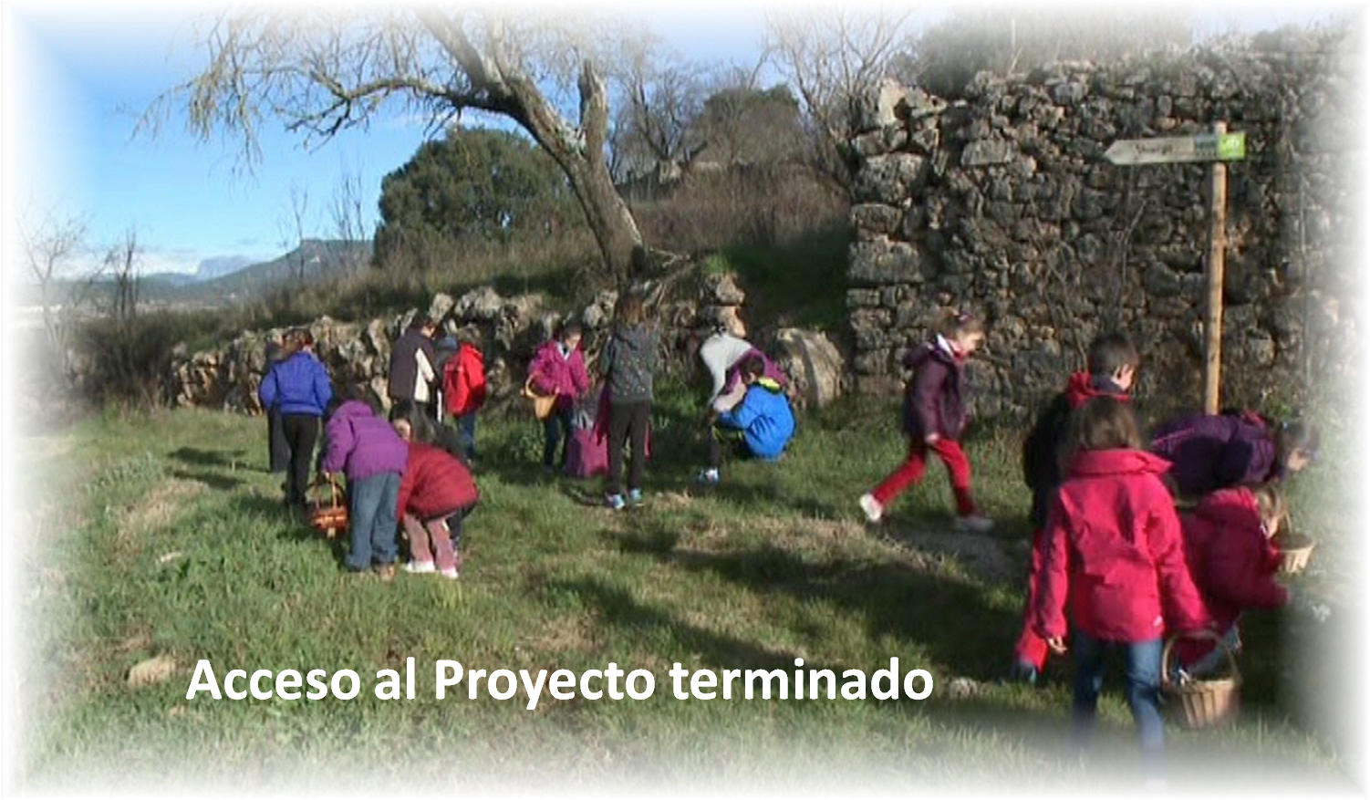 https://sites.google.com/site/proyectoplantasconnoguera/home