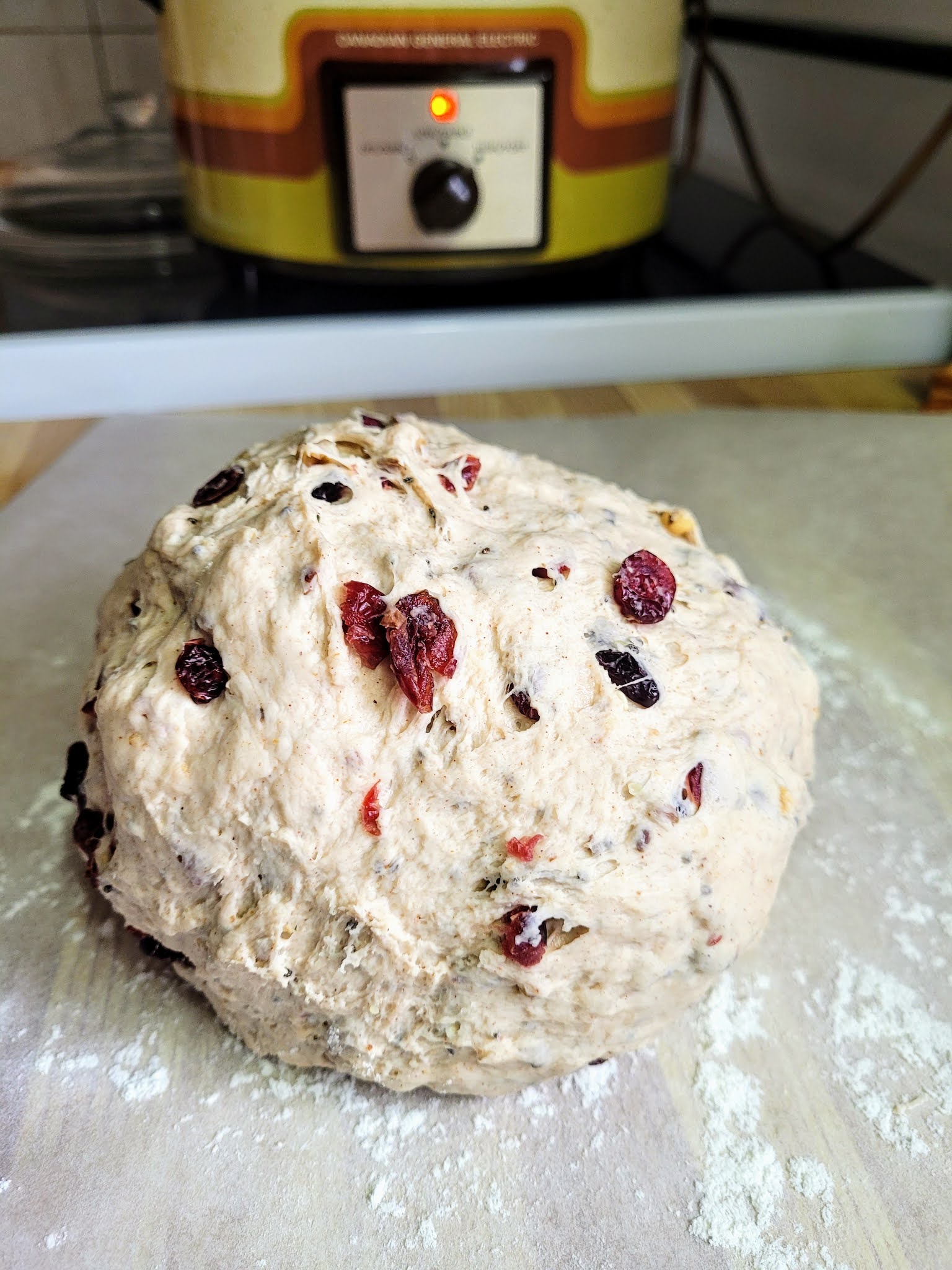 Hot and Cold Running Mom Just my Stuff Cranberry Walnut Slow Cooker