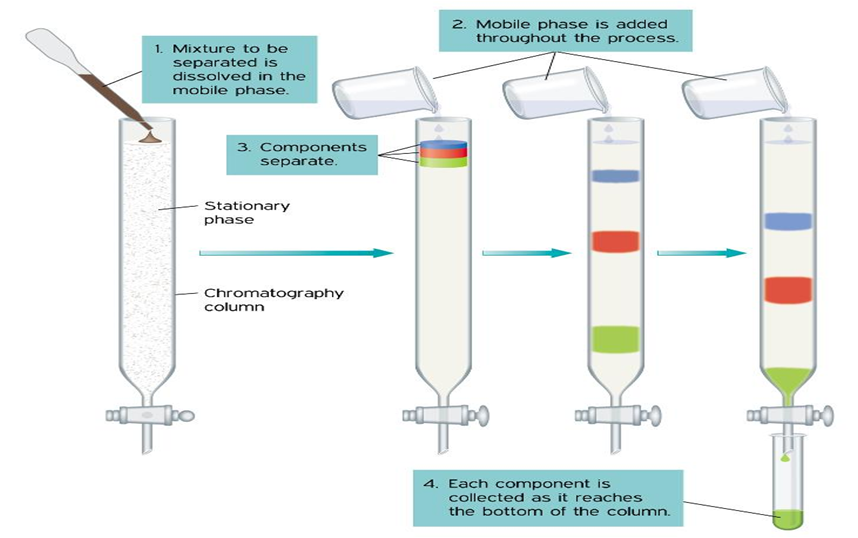 CHROMATOGRAPHY BASIC