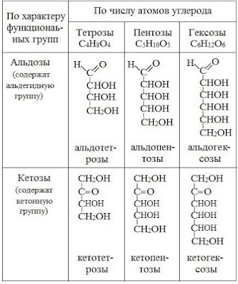 14%2B%25D1%2583%25D0%25B3%25D0%25BB В результате чего образуются моносахариды