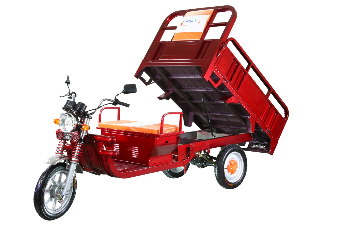 Vasavi Wheels Go Green Eco Project Battery operated Vehicles