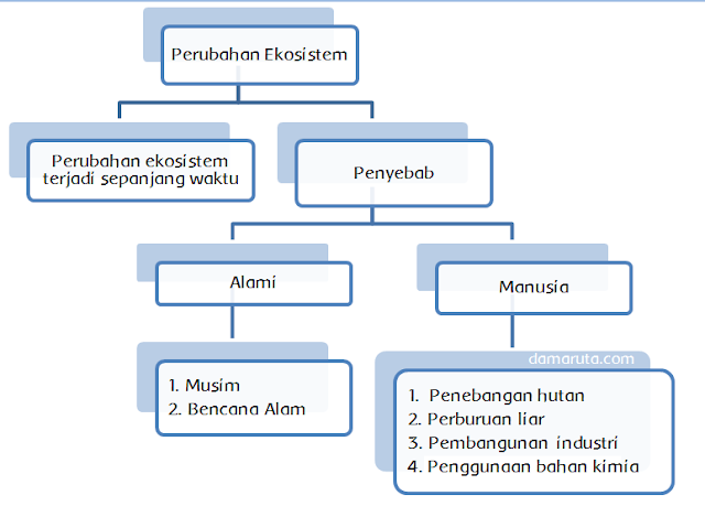 Kunci Jawaban Kelas 5 Tema 5 Perubahan Ekosistem Kunci Jawaban Kelas 5 Tema 5 Perubahan Ekosistem