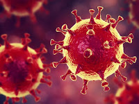 Mutasyonlu koronavirüs nedir? Covid-19 açıklaması!