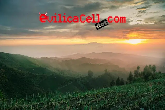 Pemandangan Samudra Awan Fakta Menarik Negeri di Atas Awan