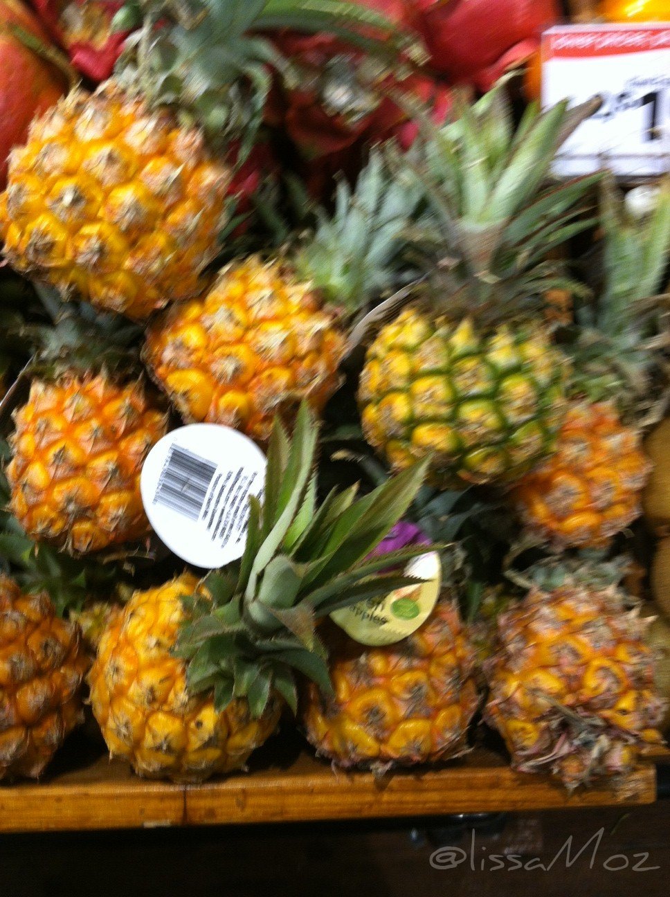lissaMoz Baby Pineapples!