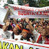 Save Babi Di Sumatera Utara Tolak Pemusnahan 